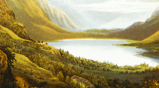 Echoes of Nature